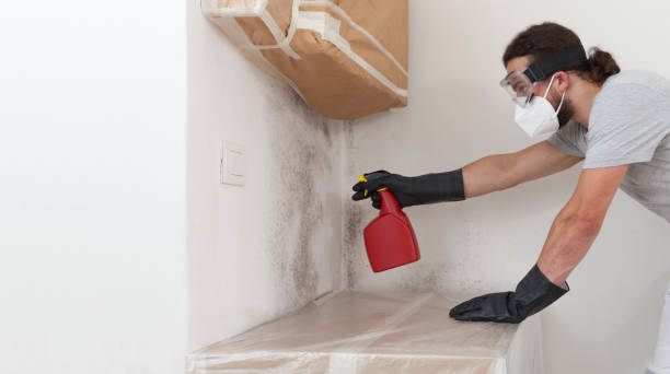 Professional Mold Inspection And Testing technician working in Free Soil, MI